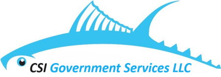 CSI Government Services, LLC